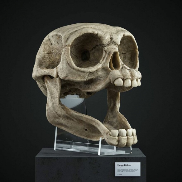 國外藝術家為美漫卡通角色創造“正確”的頭骨