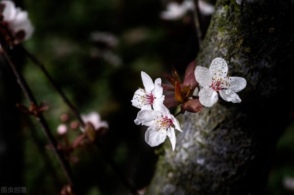01，決定去鄉下安靜一段時間，遇上漂亮的村姑後，再也沒想著離開