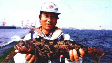 「 日本專業海釣入門投釣書籍 」新手嘗試投釣釣點 海面中心堤壩