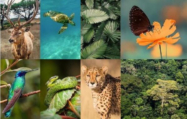 2022年生物保護領域的15個關鍵議題