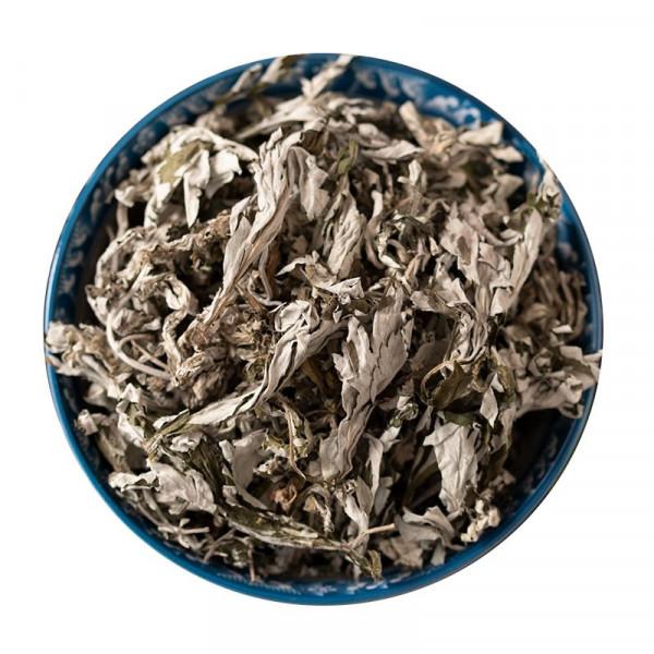 中藥古今研究:艾葉 中藥古今研究:艾葉