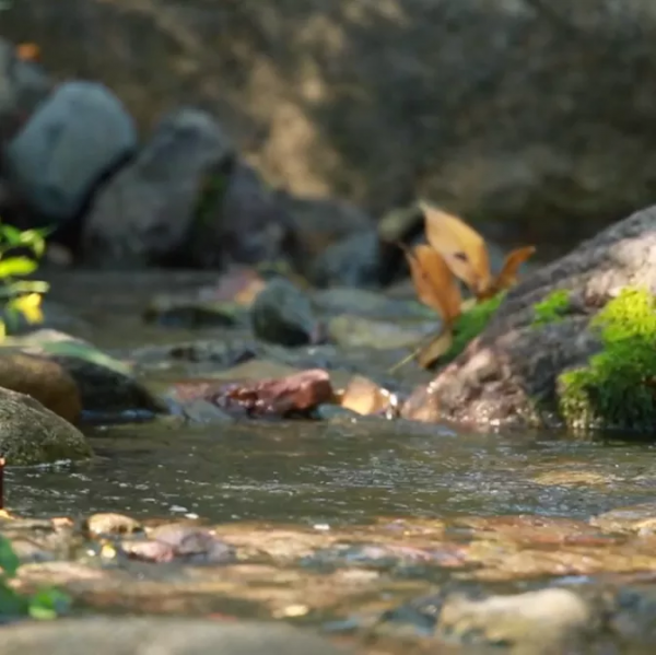 媯川秋韻（一） 精品自駕線路來襲，週末出遊不發愁～