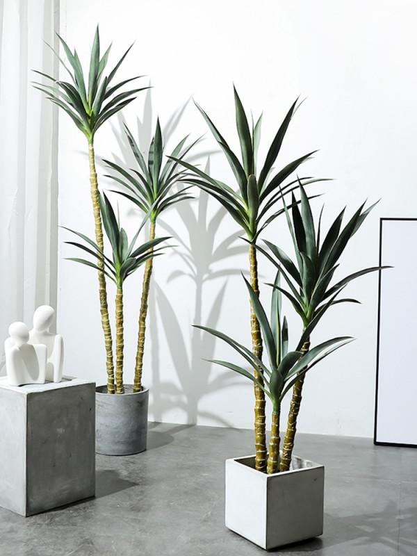 100種觀葉綠植,50種大型的,50種小型的,家裡沒有陽光也能養 100種觀葉綠植,50種大型的,50種小型的,家裡沒有陽光也能養