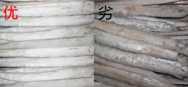 買海鮮究竟有哪些技巧，如何挑選新鮮的海鮮？如何區分優劣？