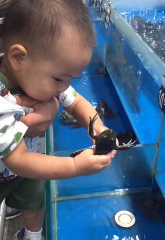 小學生作文《不要妹妹》：老師看後笑得手抖，媽媽看了想打人