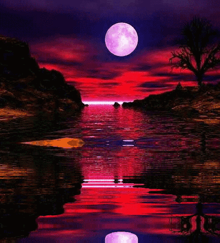 美呆的人間仙境