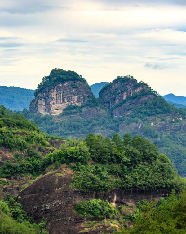英國人為什麼垂涎武夷山？