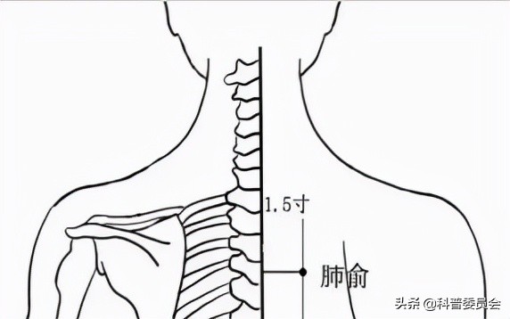 今日大雪,離過年還有56天的大雪 今日大雪,離過年還有56天的大雪