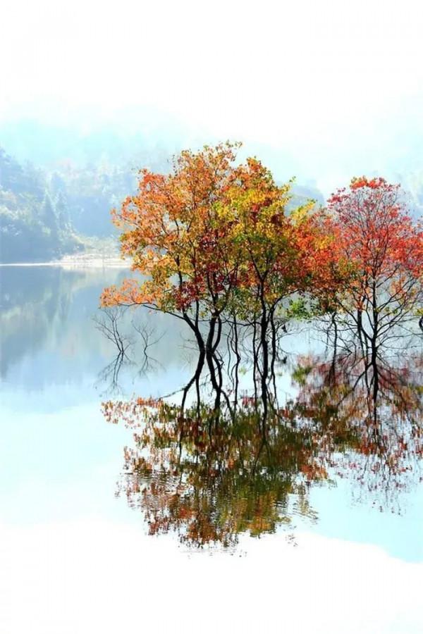 年運|傑西卡 處女座2021-2022生日運 年運|傑西卡 處女座2021-2022生日運