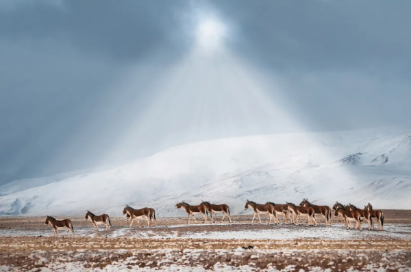 在阿里的四季裡，感受美好的一年
