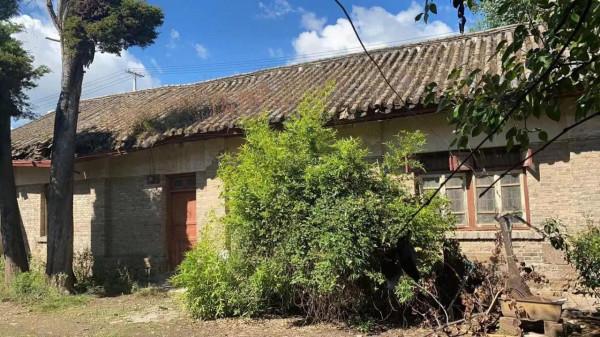 老兵們!好好活著 老兵們!好好活著