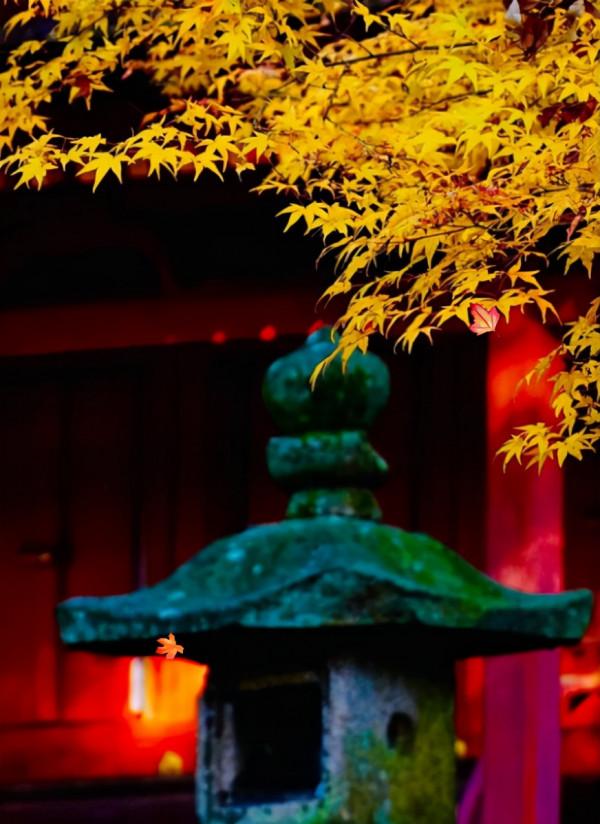 詩僧筆下的秋天，不僅有最美的秋色，還有濃濃禪意，令人回味無窮