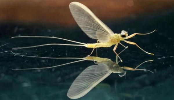 費米悖論：人類註定會滅絕？四種滅絕方式你覺得哪種可能性最大？