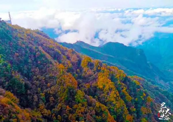 四川第三期紅葉觀賞指數釋出!不出家門,帶你雲遊這些動人風景 四川第三期紅葉觀賞指數釋出!不出家門,帶你雲遊這些動人風景