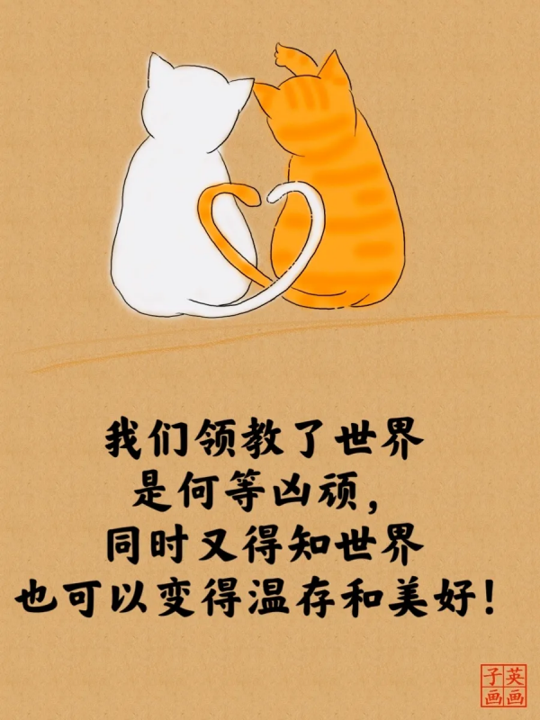 2022經典睿智的貓言貓語人生哲理大全