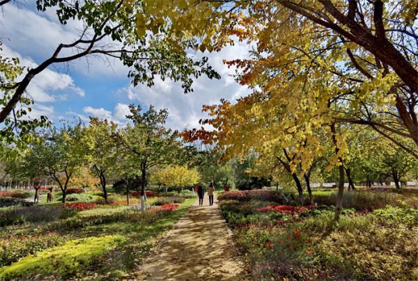 打卡丨秋天是什麼顏色？百花園內五彩斑斕