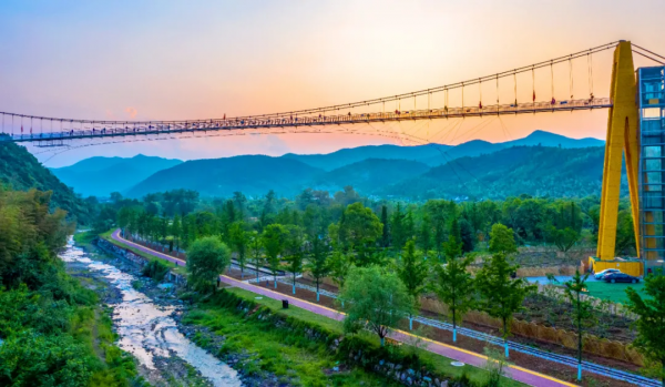 3萬株銀杏林把秋意渲染至極，第一眼就心動了