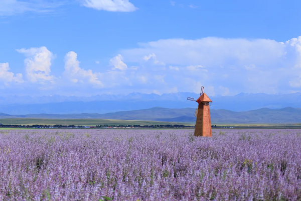 2021年，新疆非去不可，新疆怎麼玩，看完這一篇就夠了