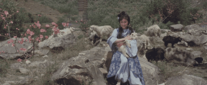 憑《少林寺》爆紅，與李連杰傳緋聞，牧羊女丁嵐為何銷聲匿跡了？