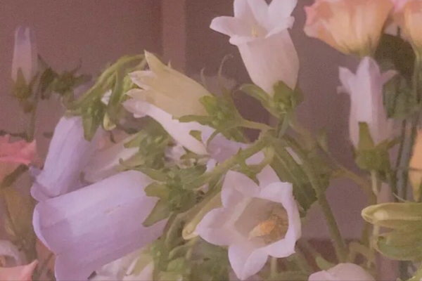 才華橫溢的星座，人格魅力強，追隨者很多，團隊中不可或缺的角色