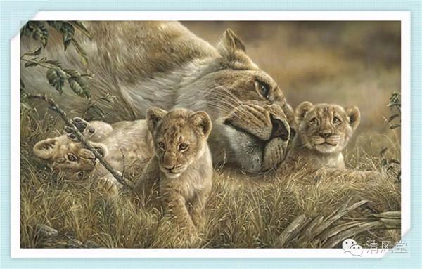 加拿大繪畫:野生動物的描繪 加拿大繪畫:野生動物的描繪