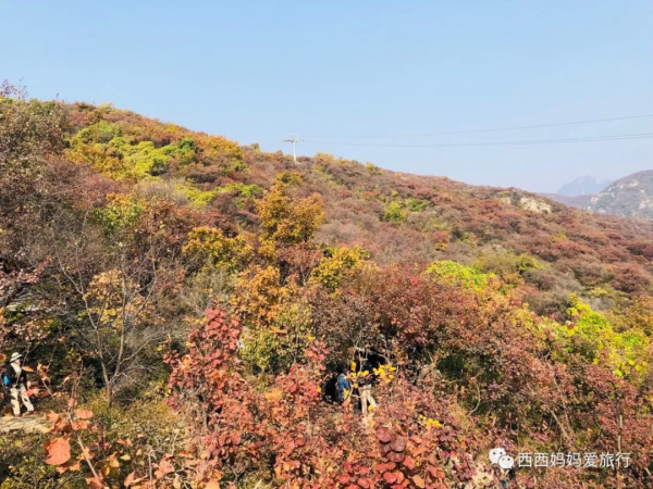 遊房山坡峰嶺 看萬山紅遍