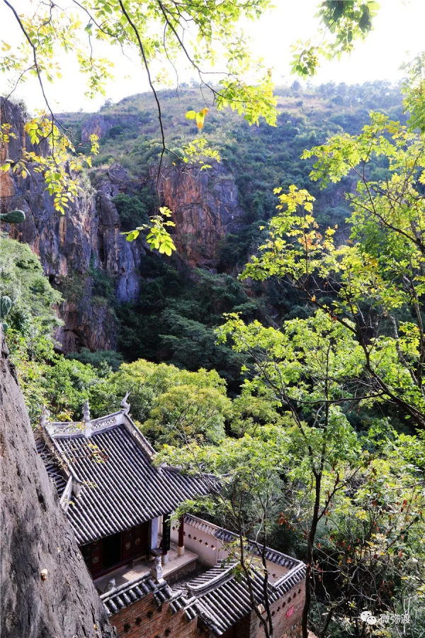 春節假期，咱彌渡有這些好去處
