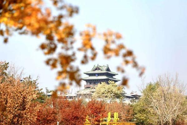 最愛北京，金秋如畫