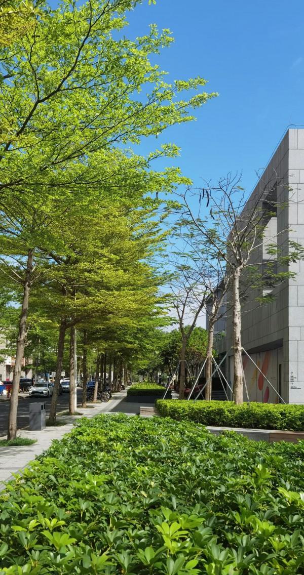 人間四月天，在坪山眼見皆美好