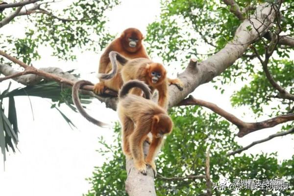 我的“啤酒肚”就是瘦不下來