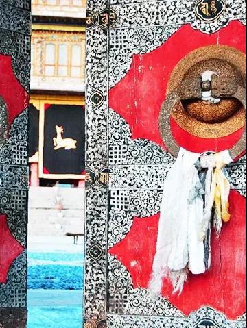 2月國寶級美景!不輸瑞士的神秘淨土,最早綻放的萬畝花海 2月國寶級美景!不輸瑞士的神秘淨土,最早綻放的萬畝花海