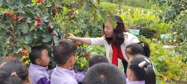 樂舞慶豐收 採摘慶中秋