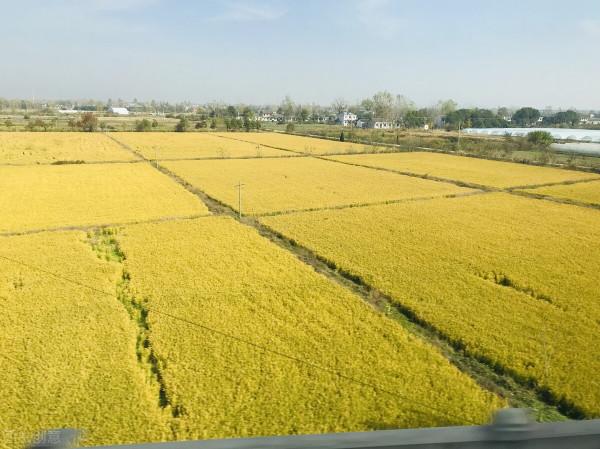 親人去世前會有預告嘛？看完這篇真人故事我希望你不要掩面哭泣