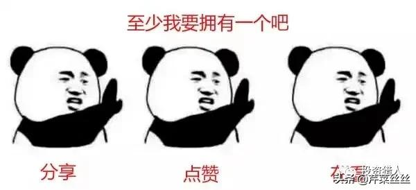 中概互聯-中國網際網路公司基金，跌出價值