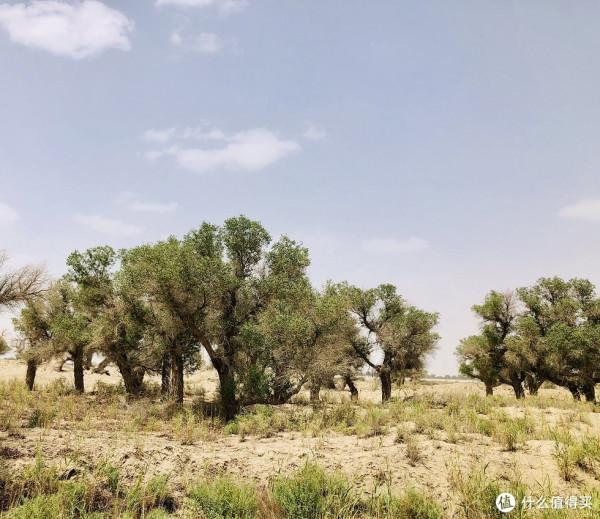 35天新疆自駕遊行程分享