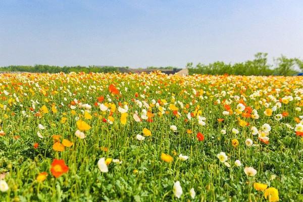 江蘇十大冷門景點，人少景美好玩