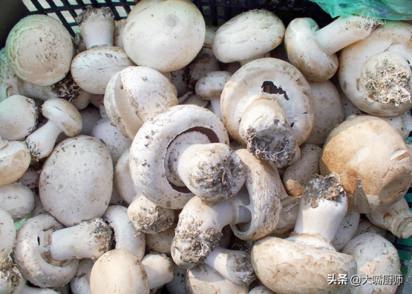 唯一能提供維D的蔬菜,營養又鮮美,多給老人孩子吃,就是有點貴 唯一能提供維D的蔬菜,營養又鮮美,多給老人孩子吃,就是有點貴