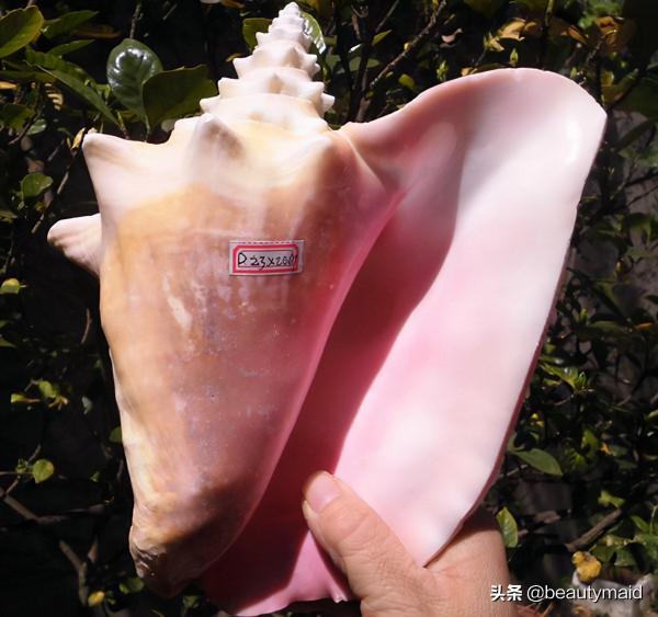 冒充海南玉的文玩都有那些? 冒充海南玉的文玩都有那些?