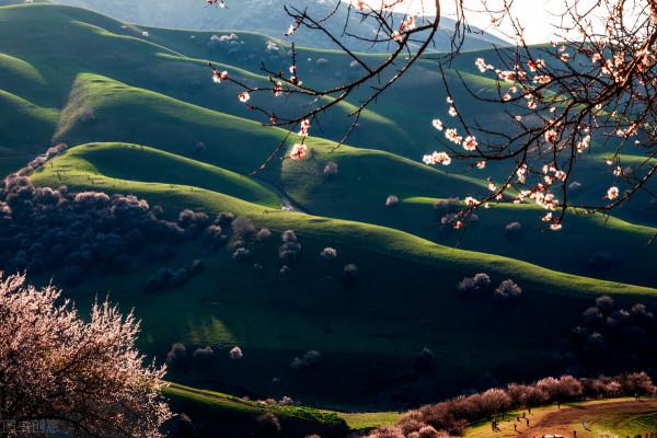超出你想象的空中草原