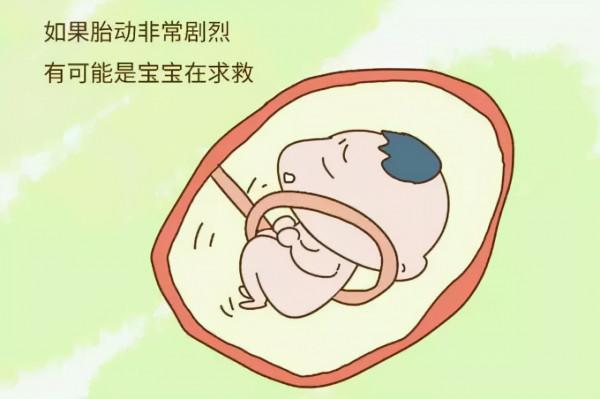 從胎動可以預測孩子的性格麼？