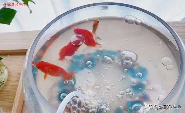 小艾阿姨一個人在家，吃好吃的壽司，貓咪很乖很聽話