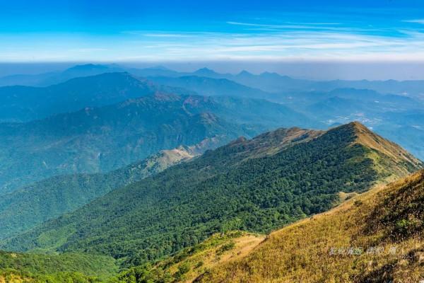 駕車登頂廣東大南山,滿山芒花深處是一個人的孤寂 駕車登頂廣東大南山,滿山芒花深處是一個人的孤寂