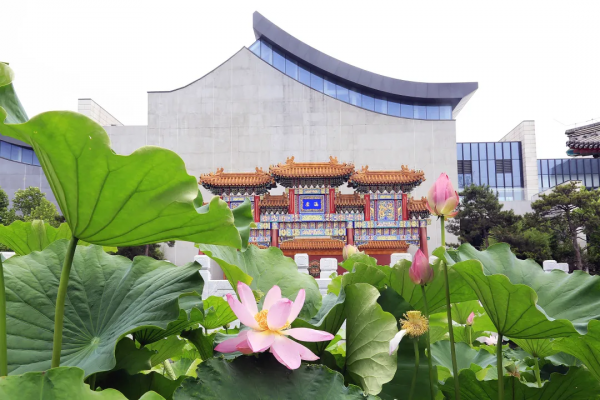 同行八載，中國園林博物館與我們共度春秋