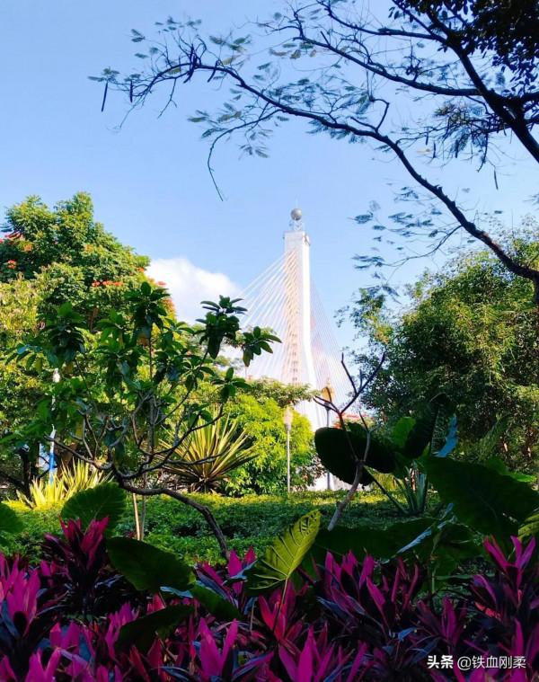 我用800字簡介西雙版納景洪市區10個免費遊景點 我用800字簡介西雙版納景洪市區10個免費遊景點