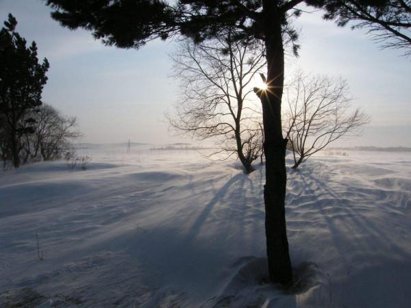 龍江抗日烽火紀實連載：我的爺爺是土匪（三）
