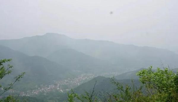 銀杏長廊,燦燦金黃 銀杏長廊,燦燦金黃