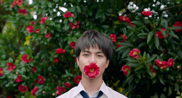 這些泡麵劇，治癒你年底的小喪