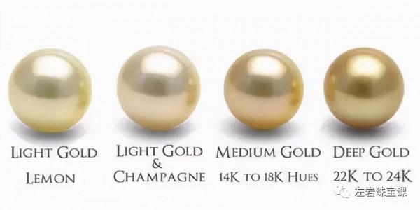 冬日提升氣質必備!南洋金珠到底是什麼來頭? 冬日提升氣質必備!南洋金珠到底是什麼來頭?