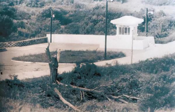 1976年，美國執意要砍掉一棵白楊樹，險些引發第二次朝鮮戰爭