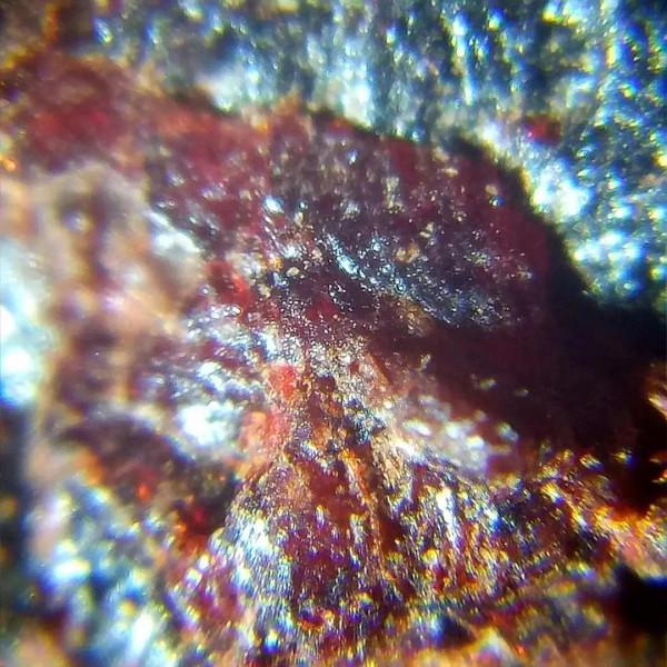 海南伽南香形質韻之美質 海南伽南香形質韻之美質